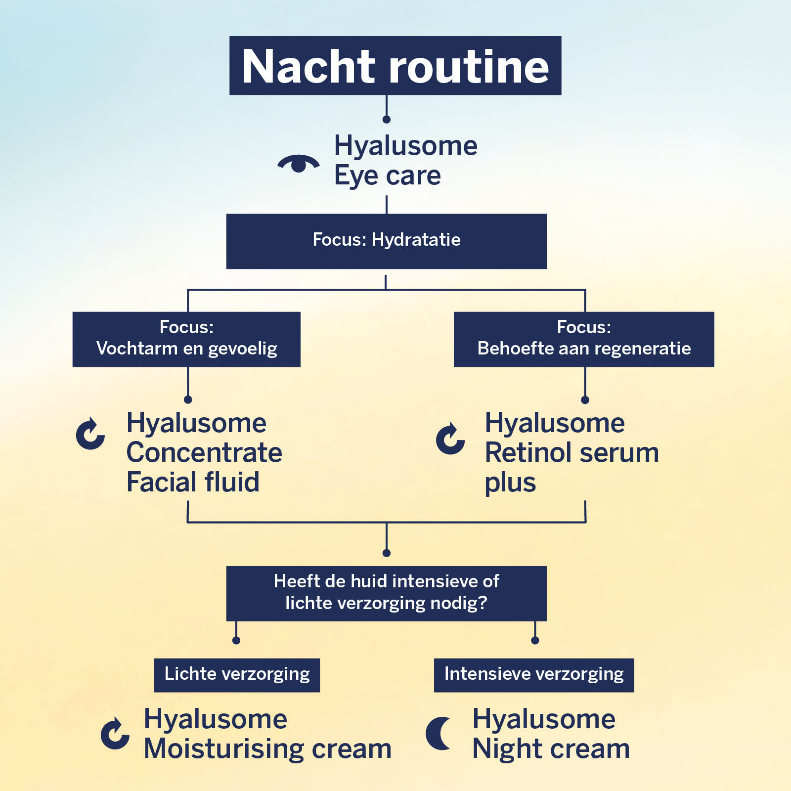 Hyalusome nacht routine