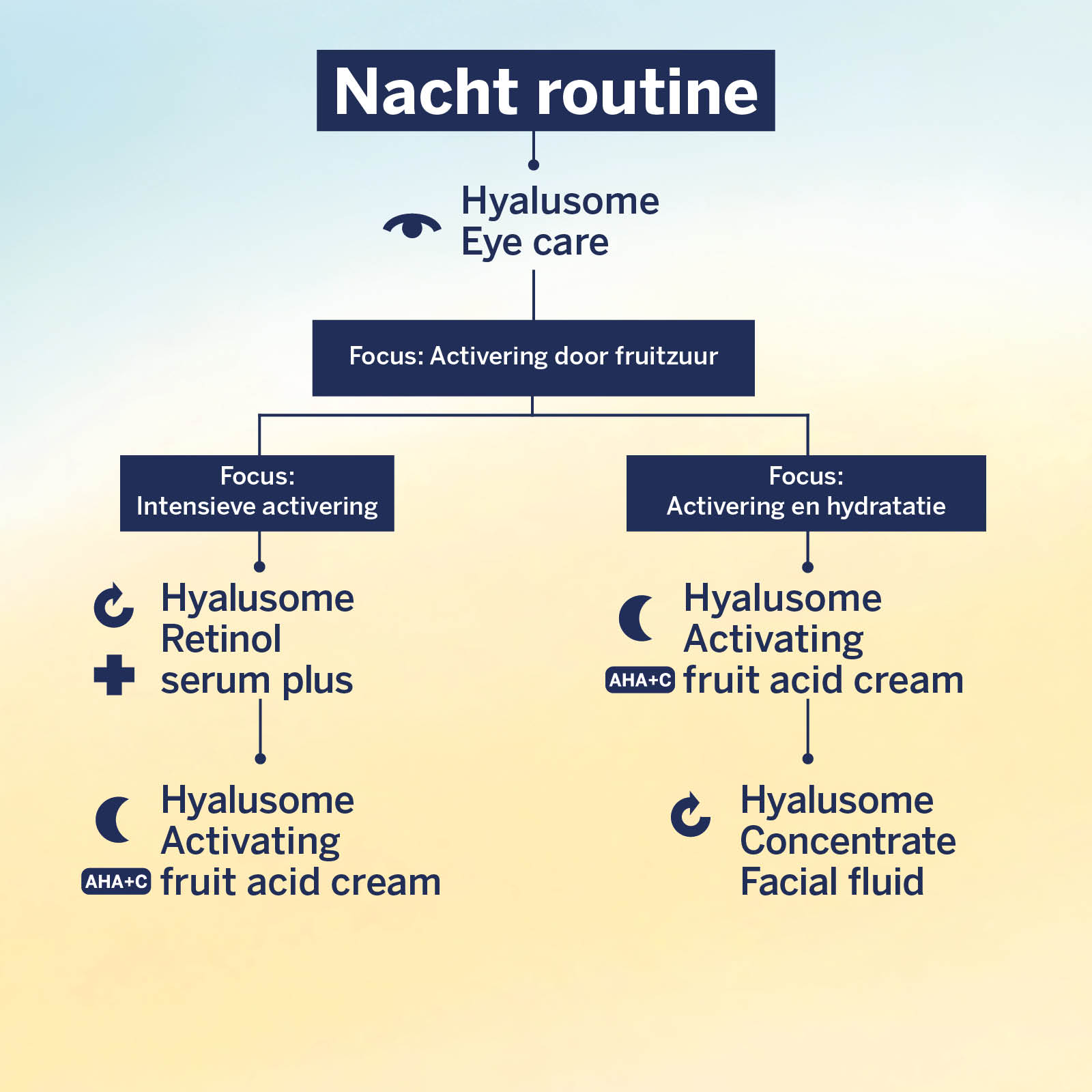 Hyalusome nacht routine