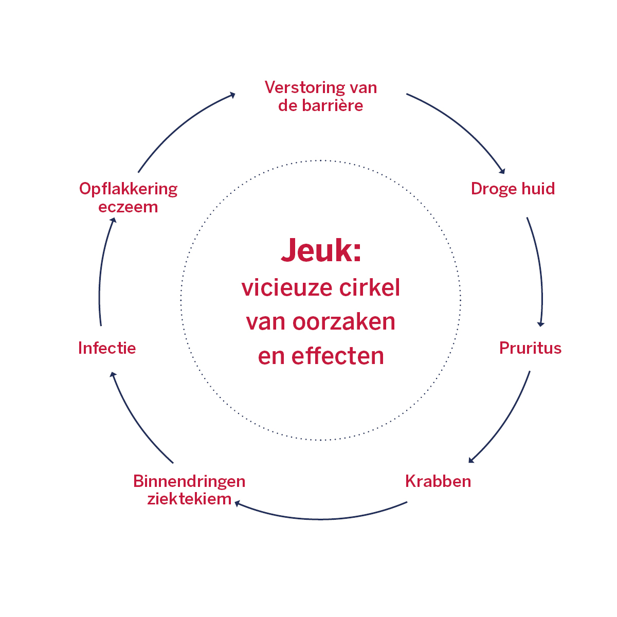 Infografiek over de vicieuze crikel van jeuk