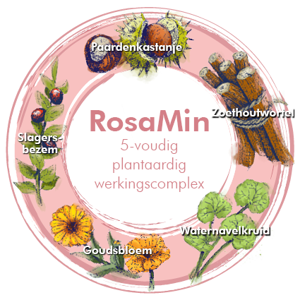 Groep actieve bestanddelen van de serie DERMASENCE RosaMin Animatie: Actieve bestanddelen goudsbloem, Aziatische waternavel, muizendoorn, paardenkastanje, zoethout