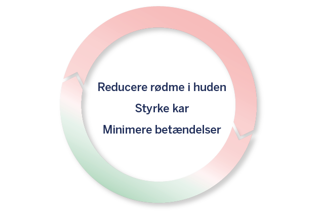 Cirkelgrafik med tekst Reducering af rødme, styrkelse af kar, mindskning af betændelsestilstande