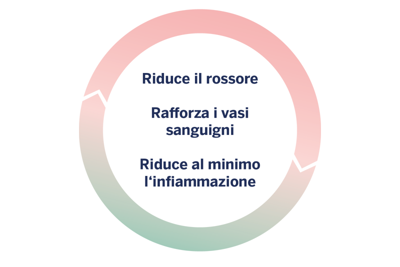 Grafica circolare con testo: Riduzione del rossore, rafforzamento dei vasi sanguigni, riduzione dell'infiammazione