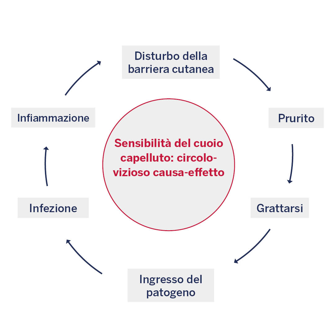 Immagine del circolo vizioso