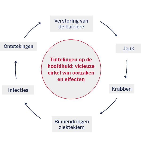 De jeukende duivelskringloop doorbreken met de juiste shampoos Grafiek van een circuit.