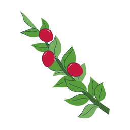 Illustration af slagterkost