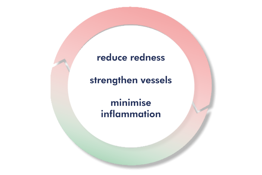 Circle graphic with text: Reduce redness, strengthen vessels, reduce inflammation