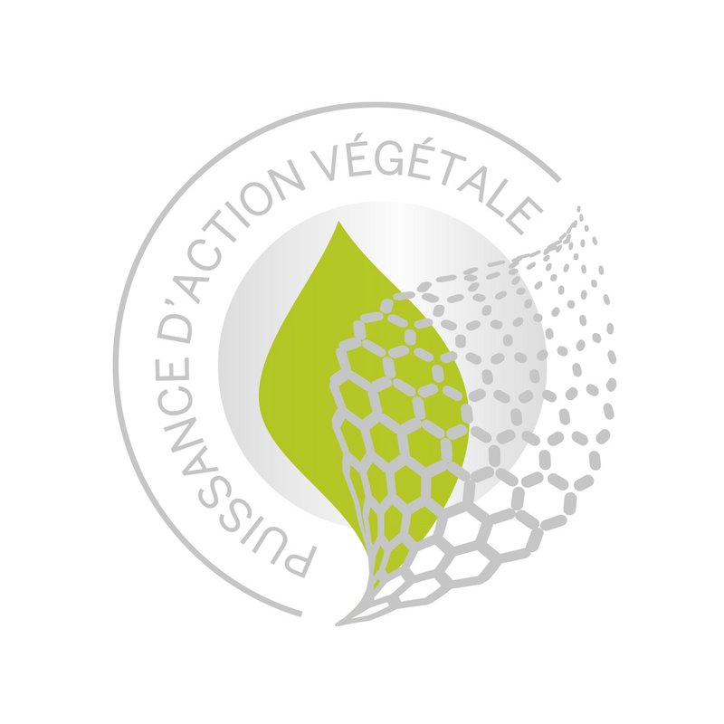 Puissance d'action végétale