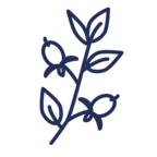 Terugvettende werkzame stoffen (bijvoorbeeld jojobaolie)