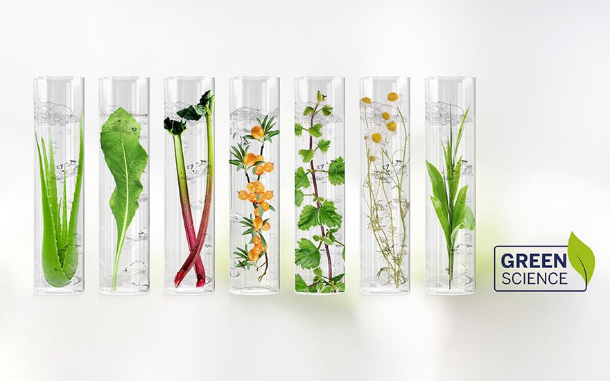 Test tubes with plants