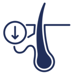 Principes actifs réduisant la production de sébum