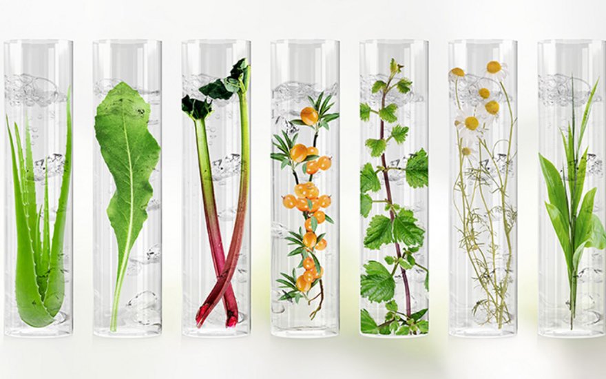 Test tubes with plants