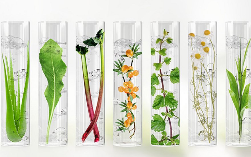 Reagensglas med planter