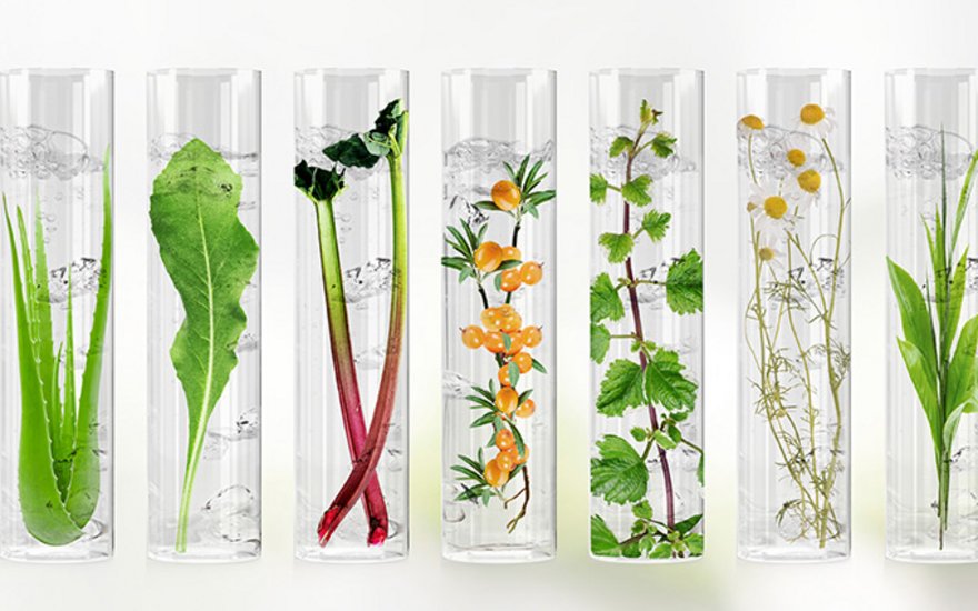 Reageerbuisjes met planten
