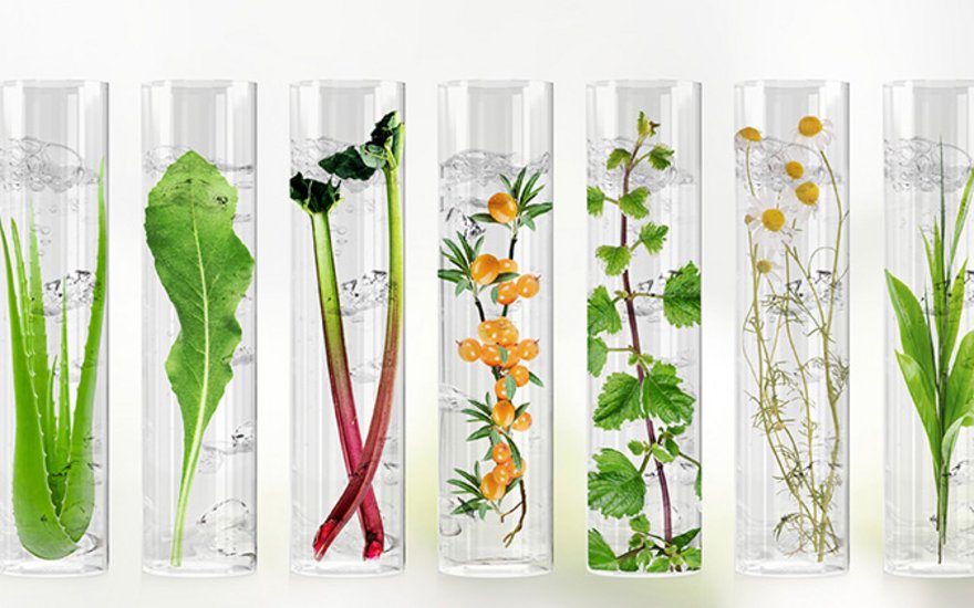 Reageerbuisjes met planten