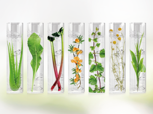 Provette riempite con diverse piante