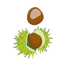 Illustration af et ekstrakt af hestekastanje