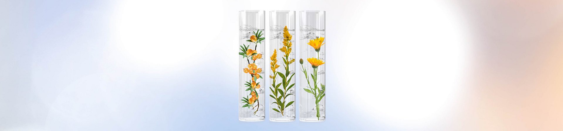 Cura della pelle irritata con un efficace potere erboristico Olivello spinoso, arnica, pungitopo in fiale