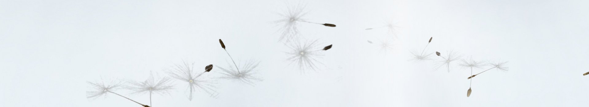 Glimlachende vrouw
met bruin haar en pollen