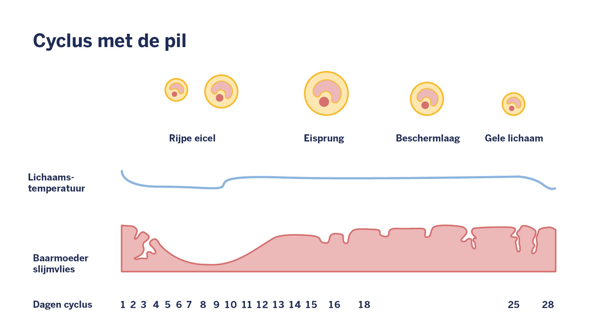 Cyclus met pil